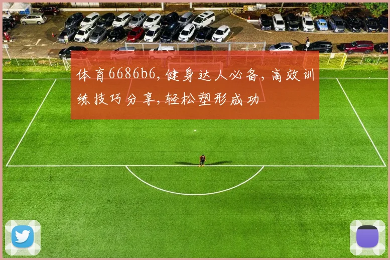 体育6686b6,健身达人必备,高效训练技巧分享,轻松塑形成功