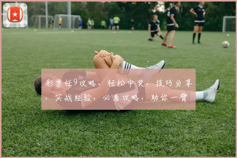 彩票任9攻略，轻松中奖，技巧分享，实战经验，必看攻略，助你一臂之力