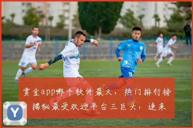 赏金app哪个软件最火，热门排行榜，揭秘最受欢迎平台三巨头，速来围观
