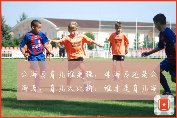 公海马育儿谁更强，母海马还是公海马，育儿大比拼，谁才是育儿高手